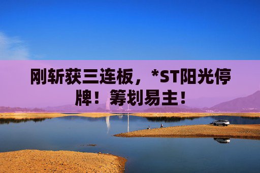 刚斩获三连板，*ST阳光停牌！筹划易主！