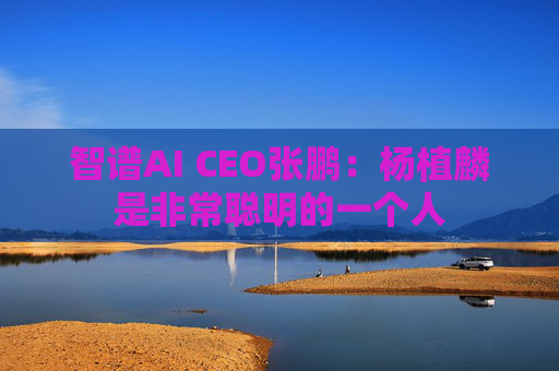 智谱AI CEO张鹏：杨植麟是非常聪明的一个人
