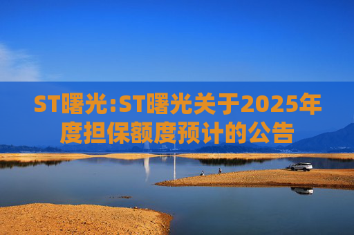 ST曙光:ST曙光关于2025年度担保额度预计的公告