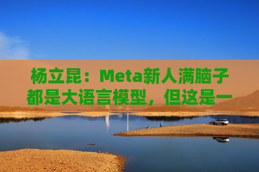 杨立昆:Meta新人满脑子都是大语言模型,但这是一条死胡同