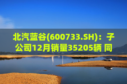 北汽蓝谷(600733.SH)：子公司12月销量35205辆 同比增长114.56%