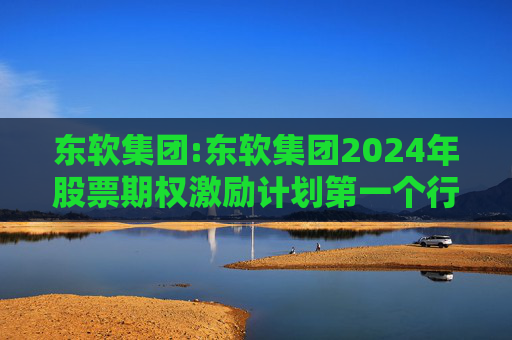 东软集团:东软集团2024年股票期权激励计划第一个行权期2025年第四季度自主行权结果暨股份变动的公告