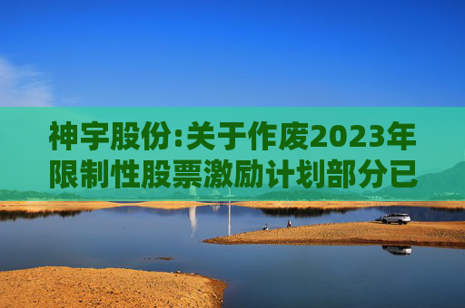 神宇股份:关于作废2023年限制性股票激励计划部分已授予但尚未归属限制性股票的公告