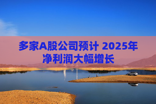 多家A股公司预计 2025年净利润大幅增长