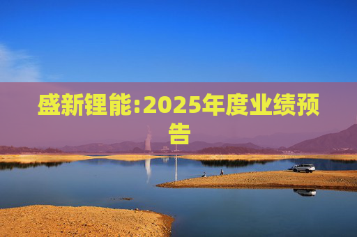 盛新锂能:2025年度业绩预告