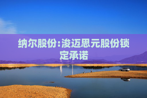 纳尔股份:浚迈思元股份锁定承诺  第1张