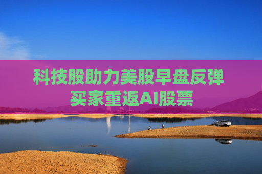 科技股助力美股早盘反弹 买家重返AI股票  第1张