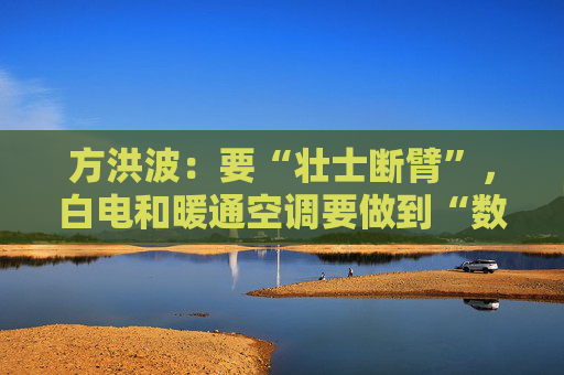 方洪波：要“壮士断臂”，白电和暖通空调要做到“数一数二”