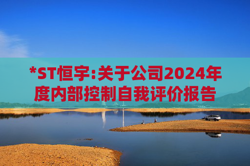 *ST恒宇:关于公司2024年度内部控制自我评价报告