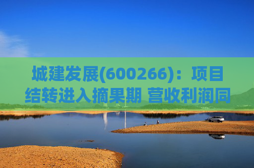 城建发展(600266)：项目结转进入摘果期 营收利润同比大幅提升