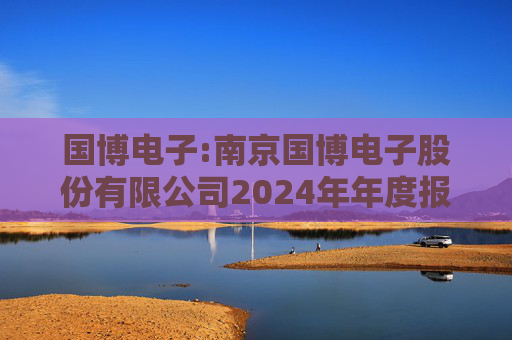 国博电子:南京国博电子股份有限公司2024年年度报告