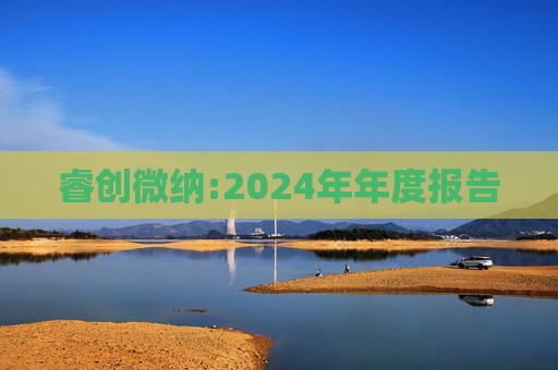 睿创微纳:2024年年度报告  第1张
