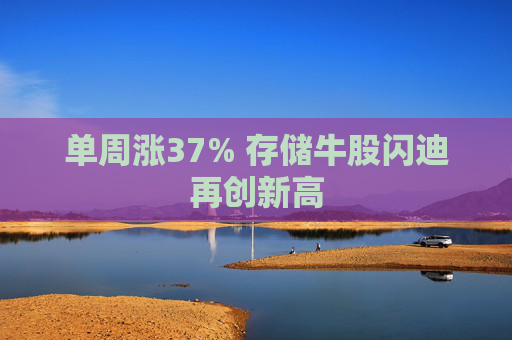 单周涨37% 存储牛股闪迪再创新高