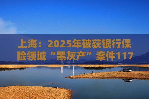 上海：2025年破获银行保险领域“黑灰产”案件117起 持续净化金融生态