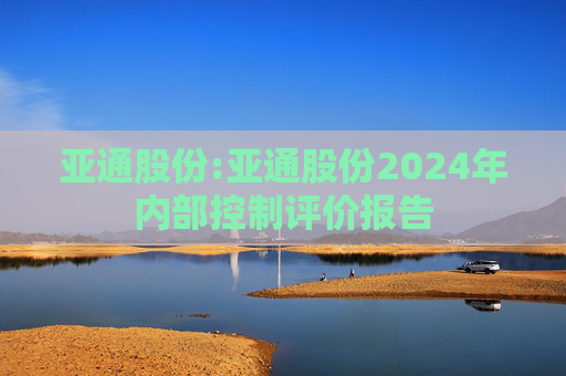 亚通股份:亚通股份2024年内部控制评价报告  第1张