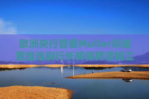 欧洲央行管委Muller承诺若当选副行长将保持谨慎立场