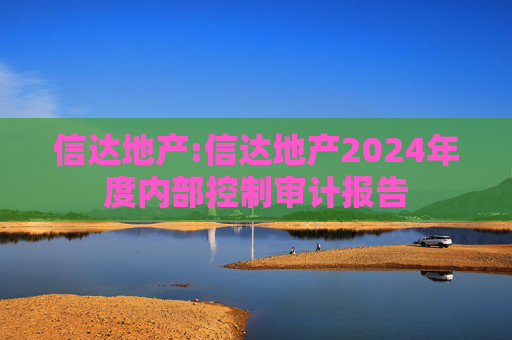 信达地产:信达地产2024年度内部控制审计报告  第1张
