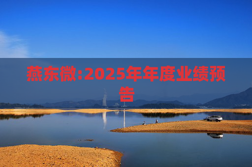 燕东微:2025年年度业绩预告