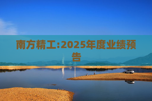 南方精工:2025年度业绩预告