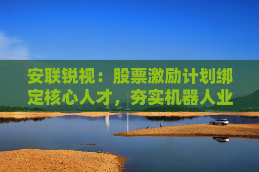 安联锐视：股票激励计划绑定核心人才，夯实机器人业务增长动能