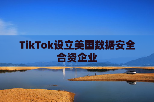TikTok设立美国数据安全合资企业