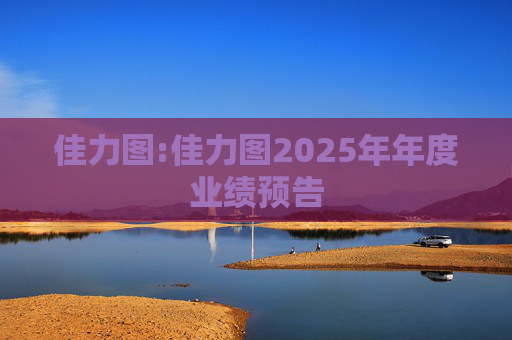 佳力图:佳力图2025年年度业绩预告