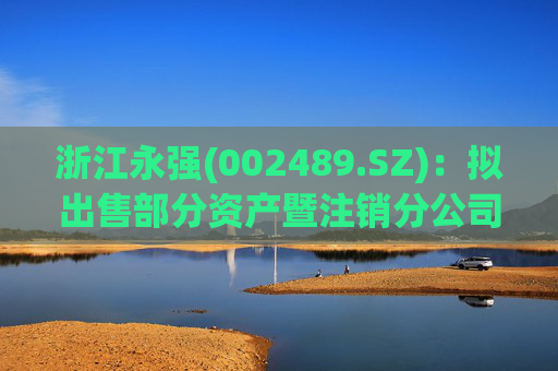 浙江永强(002489.SZ)：拟出售部分资产暨注销分公司