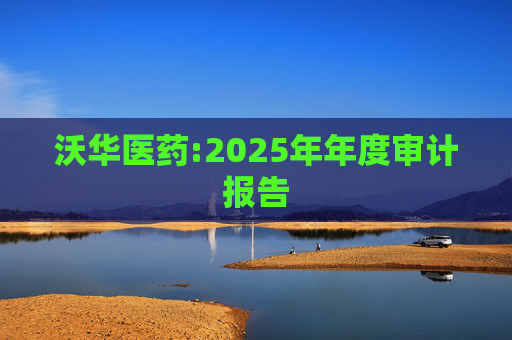 沃华医药:2025年年度审计报告