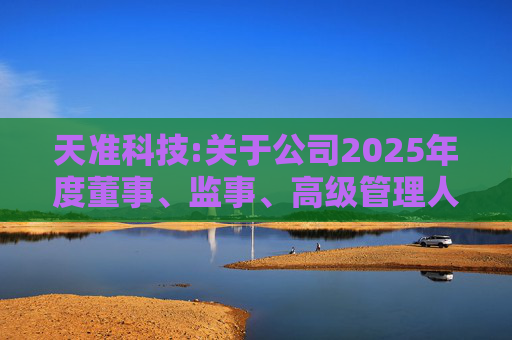 天准科技:关于公司2025年度董事、监事、高级管理人员薪酬方案的公告