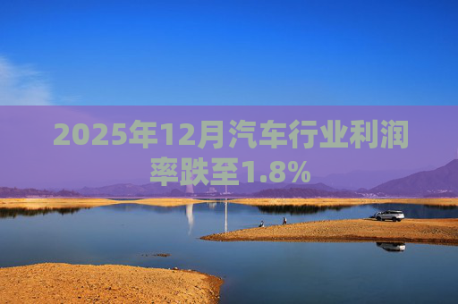 2025年12月汽车行业利润率跌至1.8%