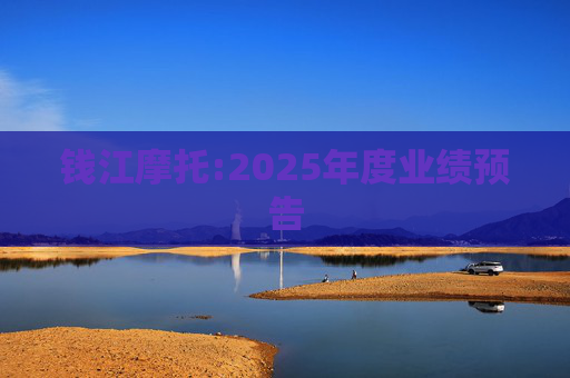 钱江摩托:2025年度业绩预告