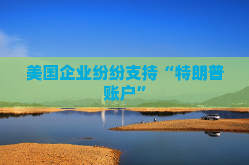 美国企业纷纷支持“特朗普账户”  第1张