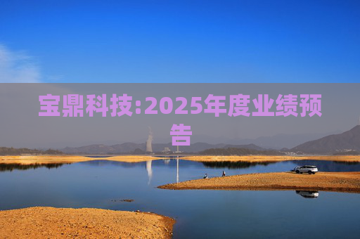 宝鼎科技:2025年度业绩预告  第1张