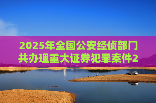 2025年全国公安经侦部门共办理重大证券犯罪案件200余起