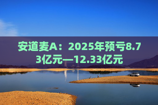 安道麦A：2025年预亏8.73亿元—12.33亿元