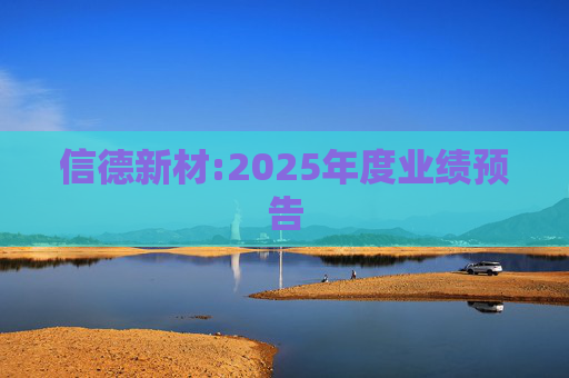 信德新材:2025年度业绩预告