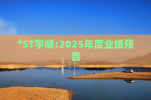 *ST宇顺:2025年度业绩预告
