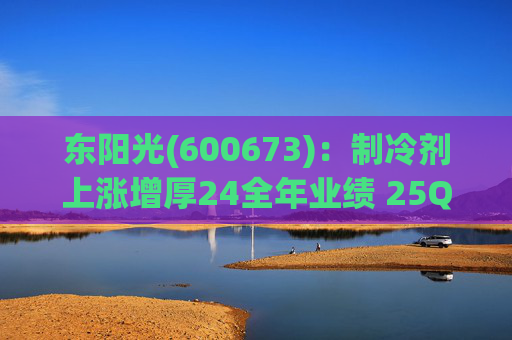 东阳光(600673)：制冷剂上涨增厚24全年业绩 25Q1业绩略超预期 液冷与具身智能共创未来