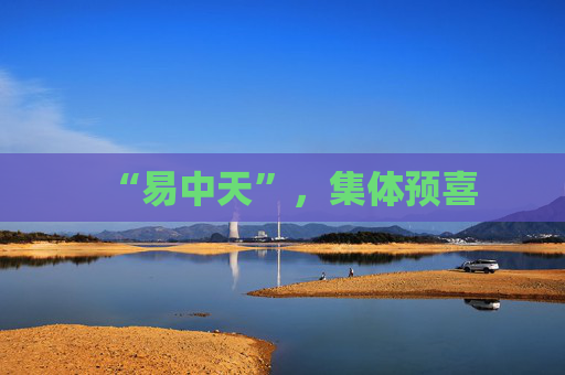 “易中天”，集体预喜