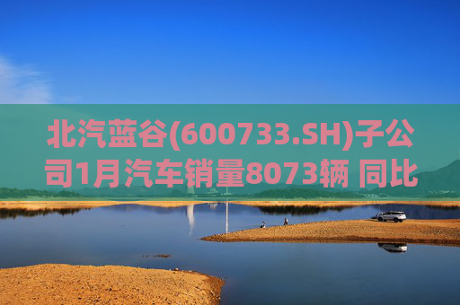 北汽蓝谷(600733.SH)子公司1月汽车销量8073辆 同比增长11.83%