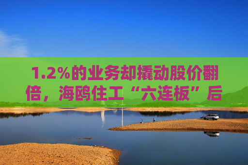 1.2%的业务却撬动股价翻倍,海鸥住工“六连板”后跌停,在越建厂能否扛住关税冲击? 第1张 1.2%的业务却撬动股价翻倍,海鸥住工“六连板”后跌停,在越建厂能否扛住关税冲击? 第1张