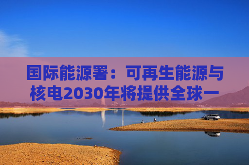 国际能源署：可再生能源与核电2030年将提供全球一半电力