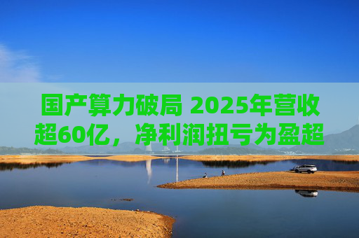 国产算力破局 2025年营收超60亿，净利润扭亏为盈超18亿