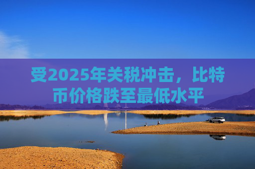 受2025年关税冲击，比特币价格跌至最低水平