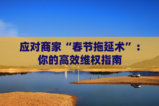 应对商家“春节拖延术”：你的高效维权指南