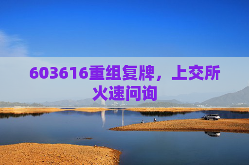 603616重组复牌，上交所火速问询