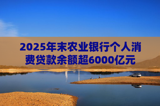 2025年末农业银行个人消费贷款余额超6000亿元