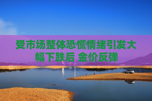 受市场整体恐慌情绪引发大幅下跌后 金价反弹