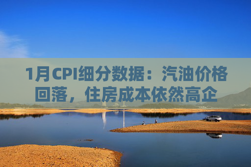1月CPI细分数据：汽油价格回落，住房成本依然高企