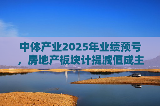 中体产业2025年业绩预亏，房地产板块计提减值成主因